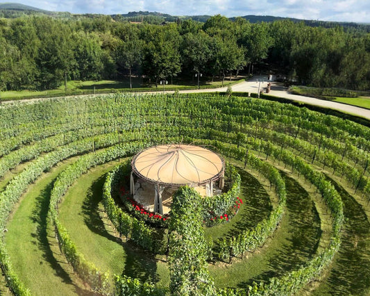 Tuscan Vineyard Dinner & Wine Tasting