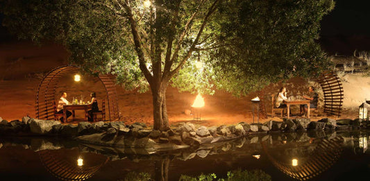 Arabian Desert Safari with Michelin-Starred Menu
