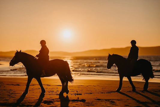 Limavady: Private Golden Coastline Horseback Ride + Hot Drinks + Pick-up Available