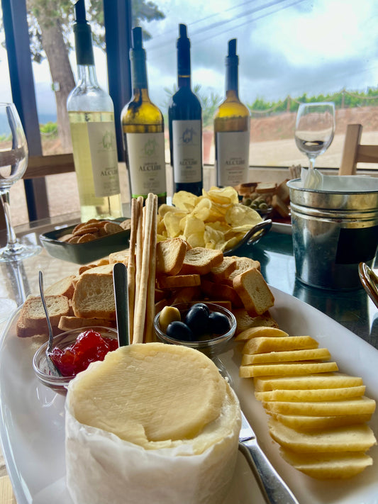 Wine Not? Full day wine tour in Arrábida