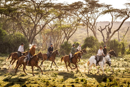 Western Cape: Valley Horseback Ride, Gourmet Lunch, Wine, & Hotel Pick-up