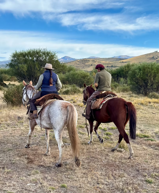 Estancia: Full-Day Long Ride in the Forest + Lunch (6H)