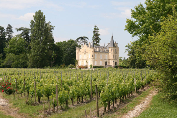 Between Ocean and Wine Country: An Unforgettable Day in Bordeaux