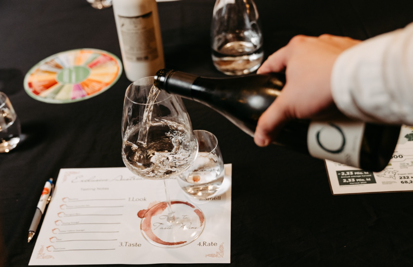 Vienna’s Ultimate Evening Wine Experience