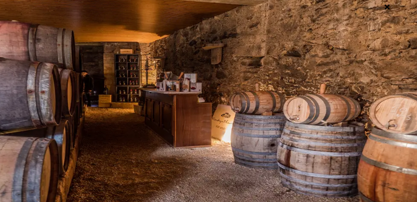 Douro Valley Wine Tour in Porto