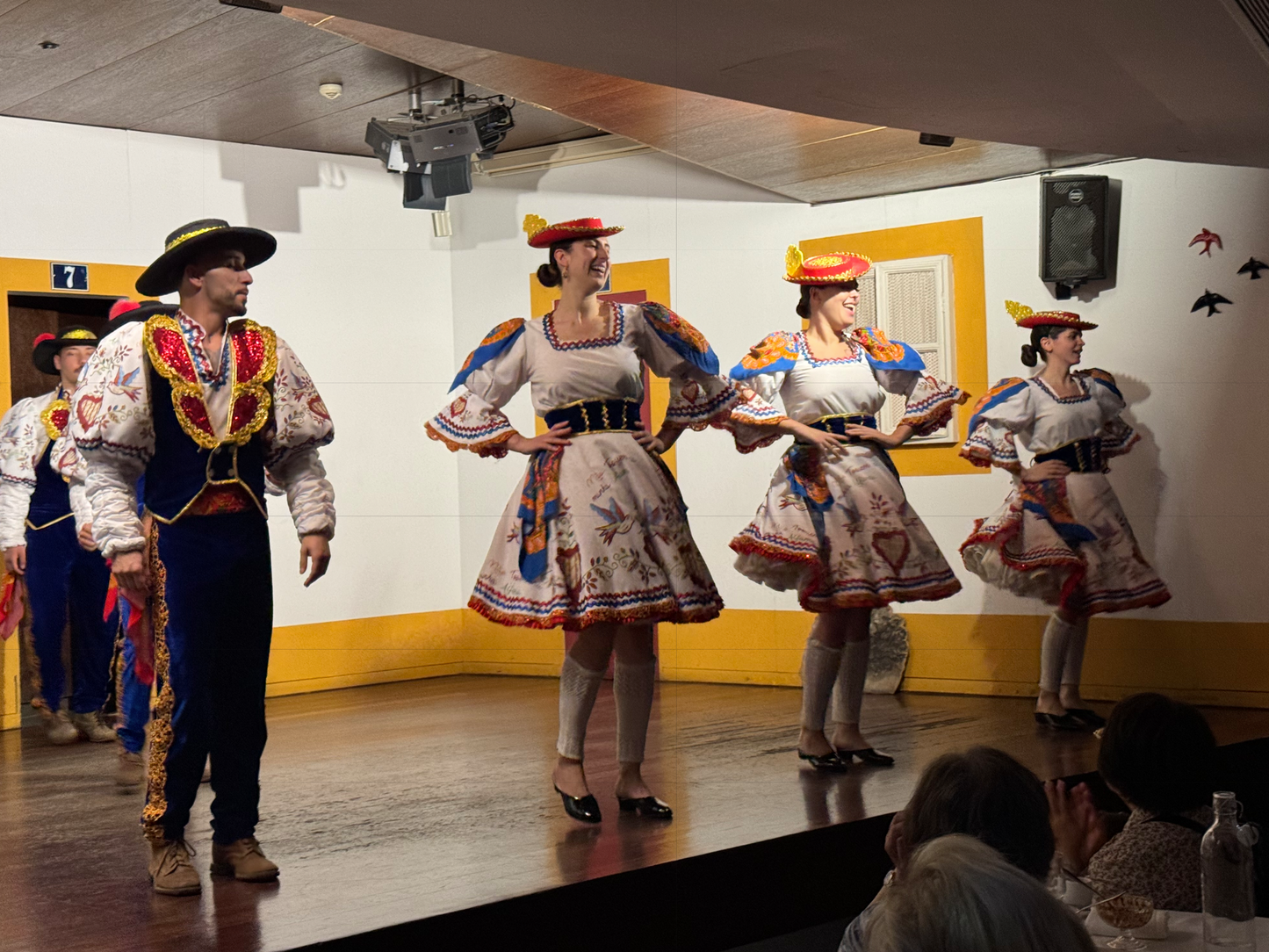 Lisbon Fado Show – A Night of Music and Tradition