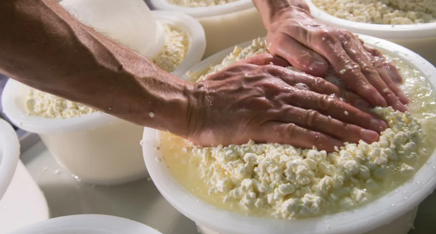 Cheese Making Class with Tasting in Viseu