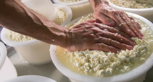 Cheese Making Class with Tasting in Viseu