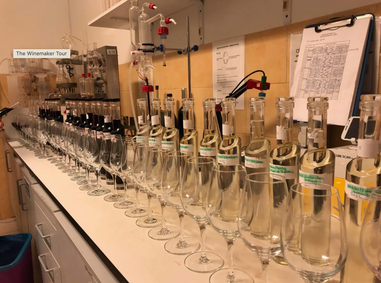 Create your own Bottle of Wine in Lagos