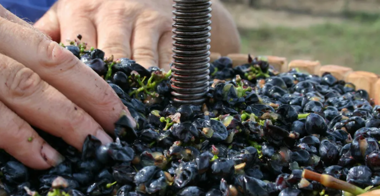 Create your own Bottle of Wine in Lagos