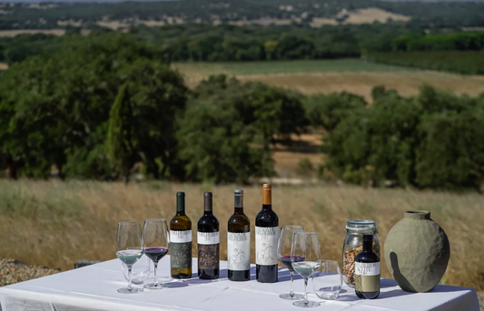 Cork & Terroir Wine Tasting & Lunch near Lisbon