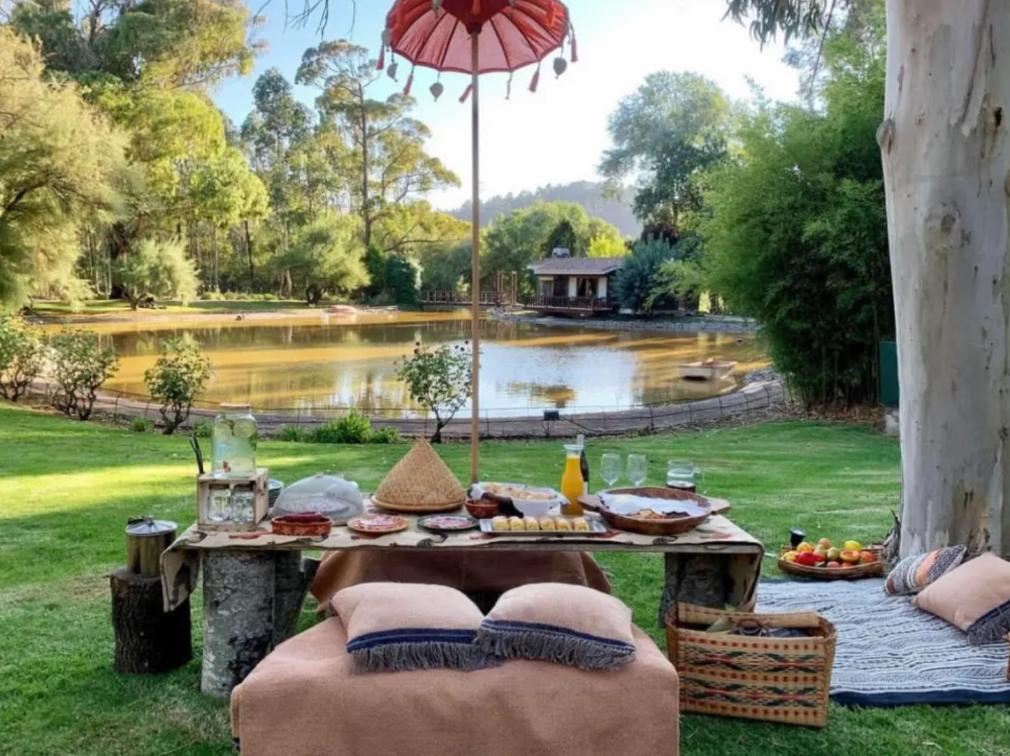 Horseback Riding and Picnic in a farm in Lisbon