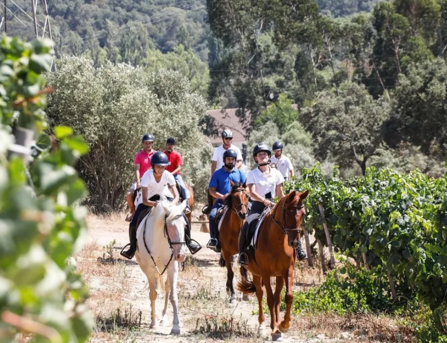 Horseback Riding and Picnic in a farm in Lisbon