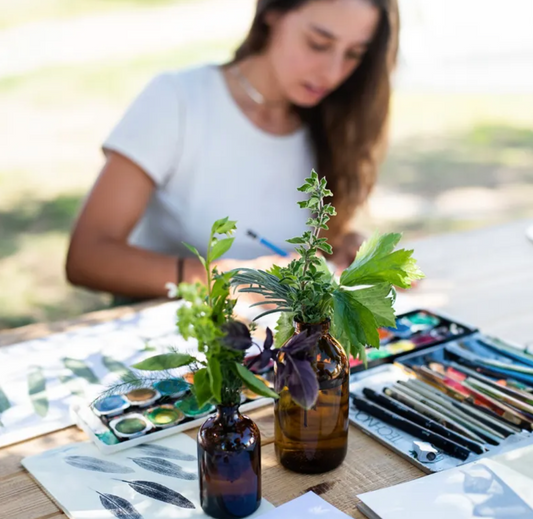 Herbarium Illustration Workshop and Lunch in Évora