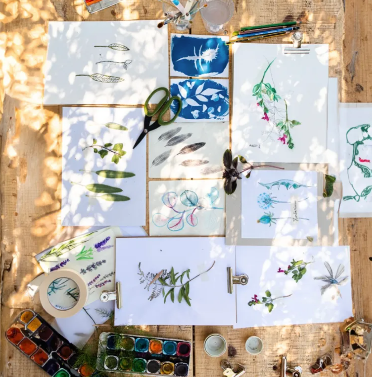 Herbarium Illustration Workshop and Lunch in Évora