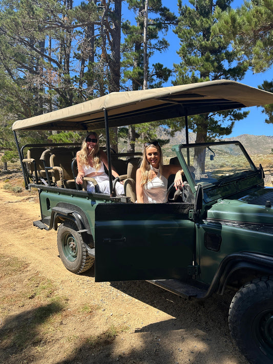 Cape Town: Wild Eco-Safari Adventure