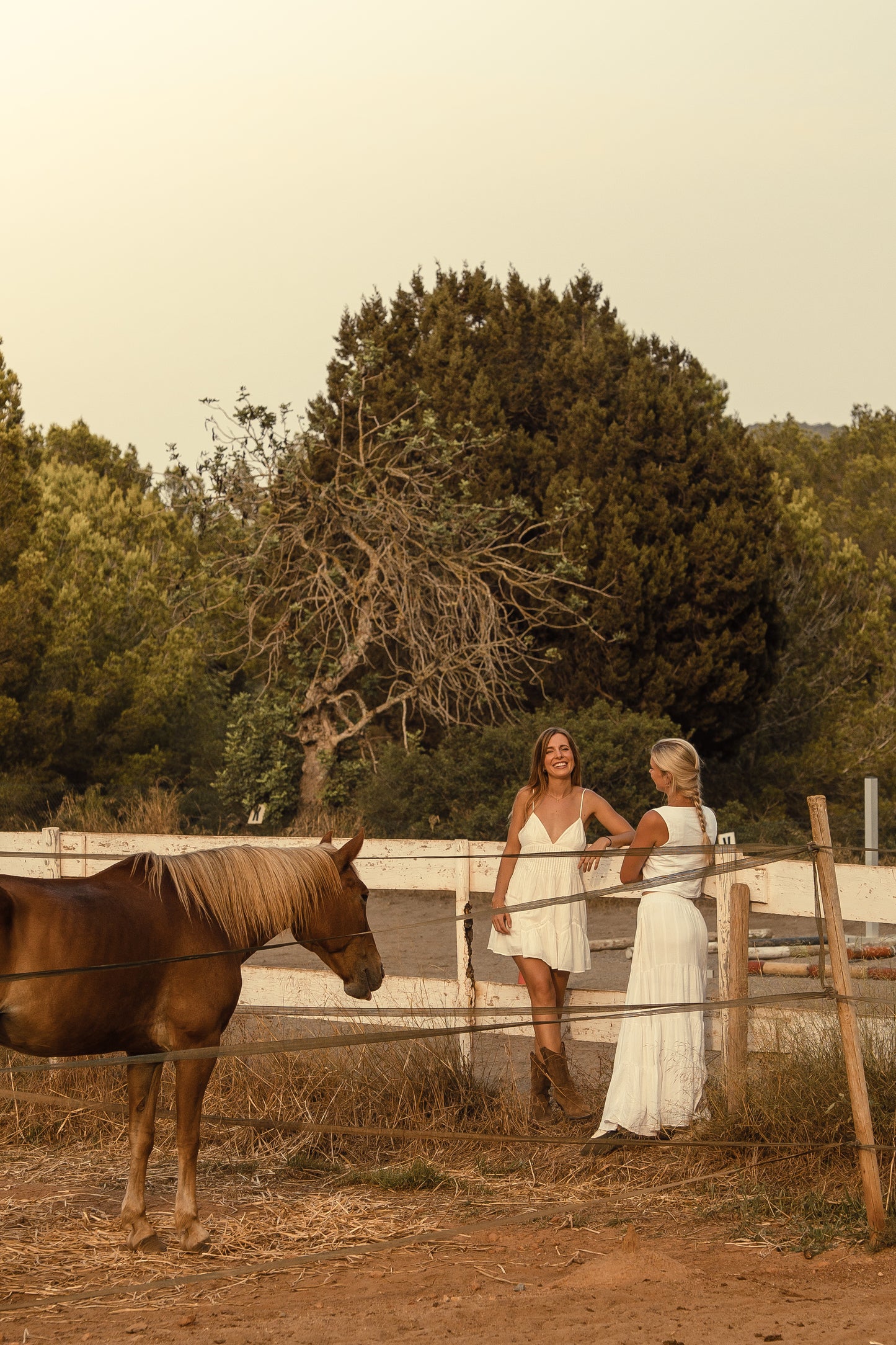 Sicily: 3-Hour Coastal Woodland Horseback Ride + Pick Up