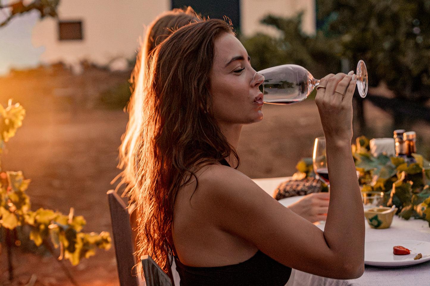 Barcelona: Penedés Simple Wine & Exclusive Cava Tasting + Vineyard Visit + Harvest + Traditional Grape Stomping