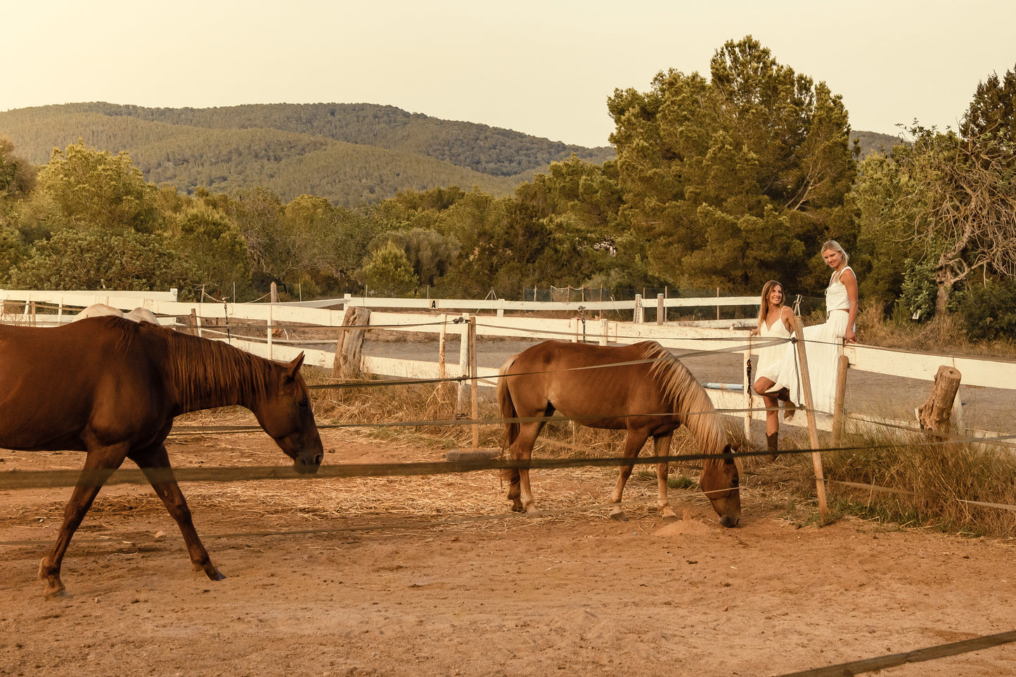 Balestrate, Sicily: 1-Hour Peaceful Horse Ride for Beginners