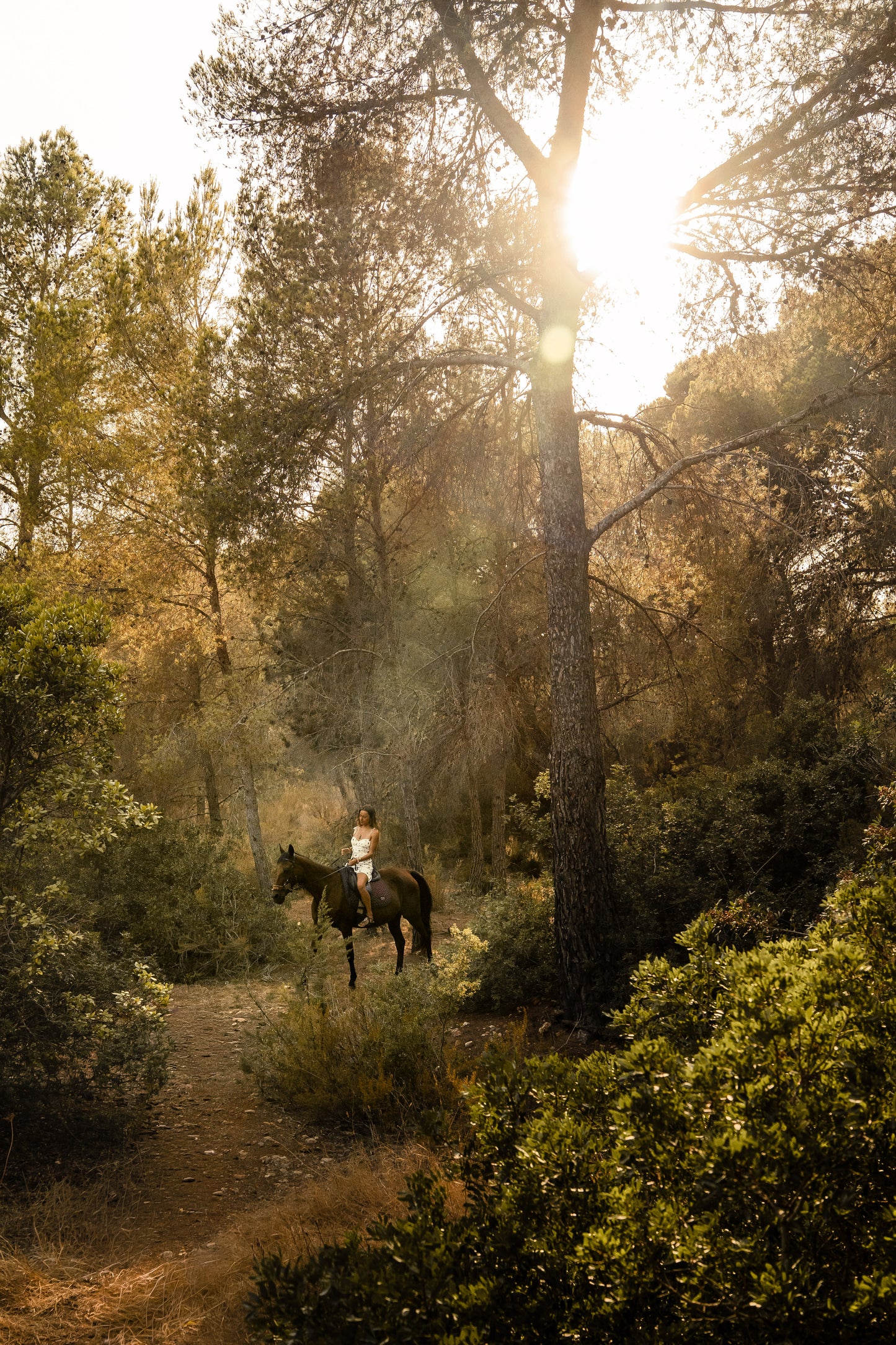 Balestrate, Sicily: 1-Hour Peaceful Horse Ride for Beginners