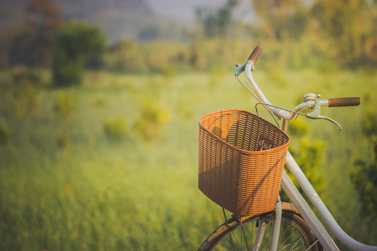 Cycle & Sip: Bordeaux by Bike with 3 Wines, Cheese & Charcuterie