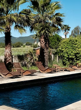 Barcelona: Wine Tasting with Traditional Tapas Appetizers + Horse Healing + Pool Day + Yoga