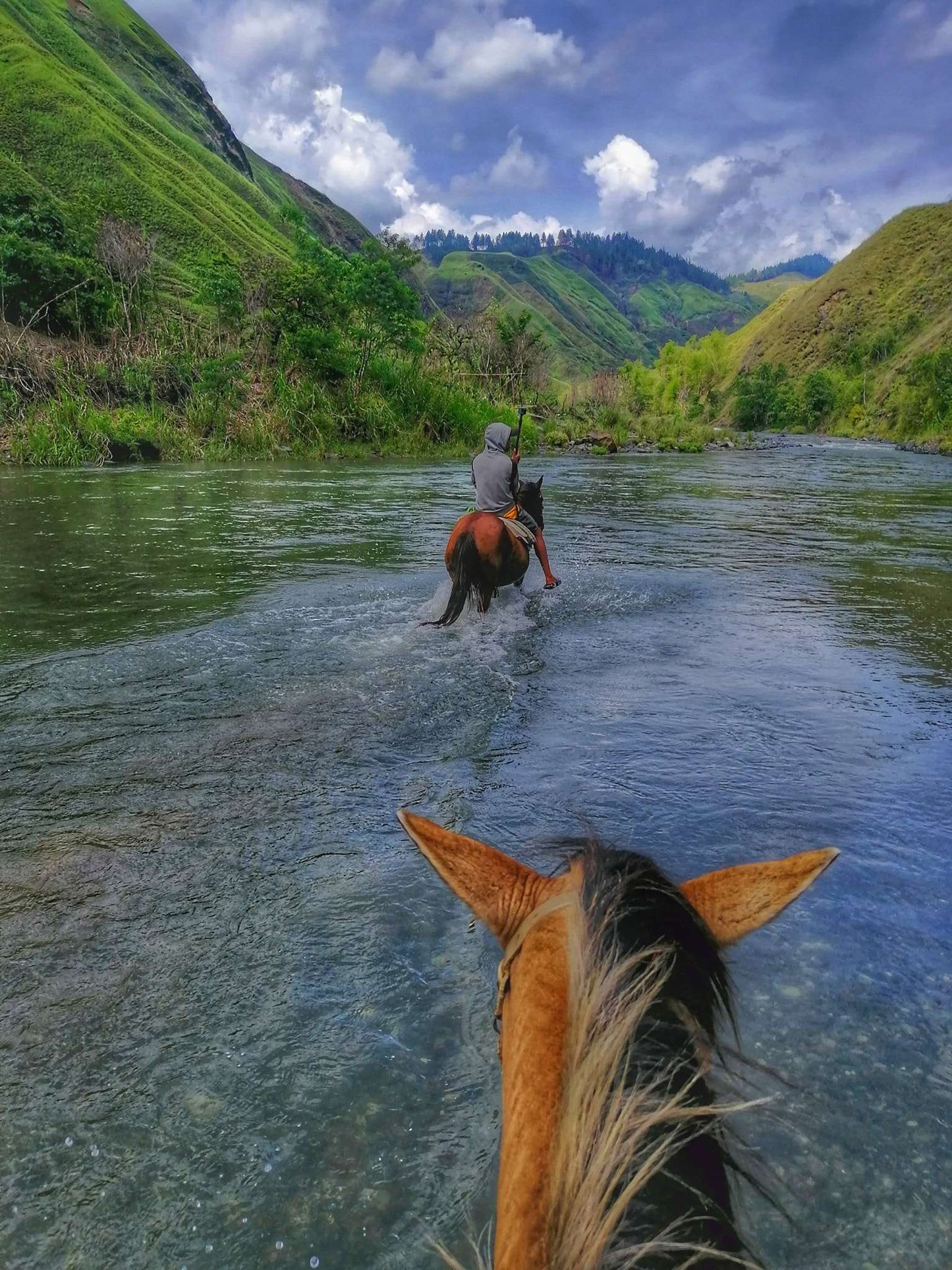 Bukidnon: A Dream of Rolling Hills Horseback Ride + Pick-up Available