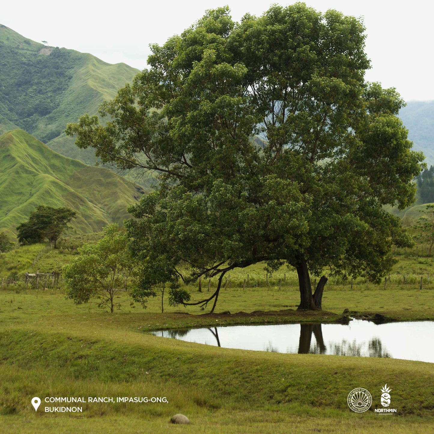 Bukidnon: A Dream of Rolling Hills Horseback Ride + Pick-up Available