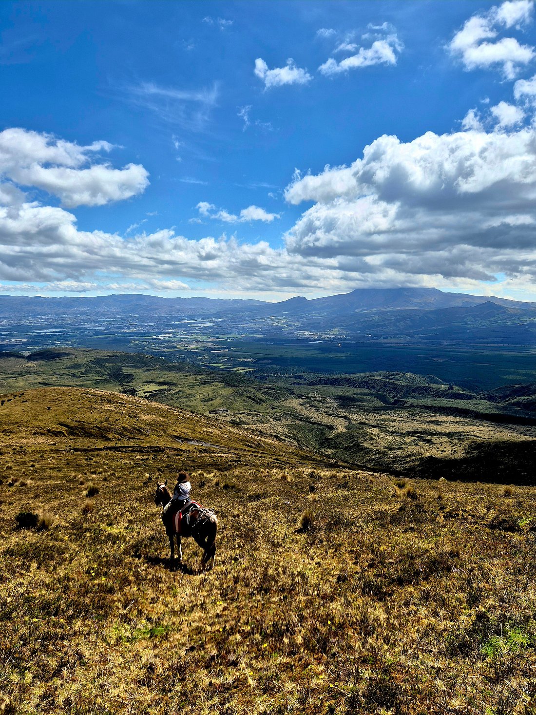 Latacunga: High Trail Riding Adventure + Pick-Up & Drop-Off + Lunch