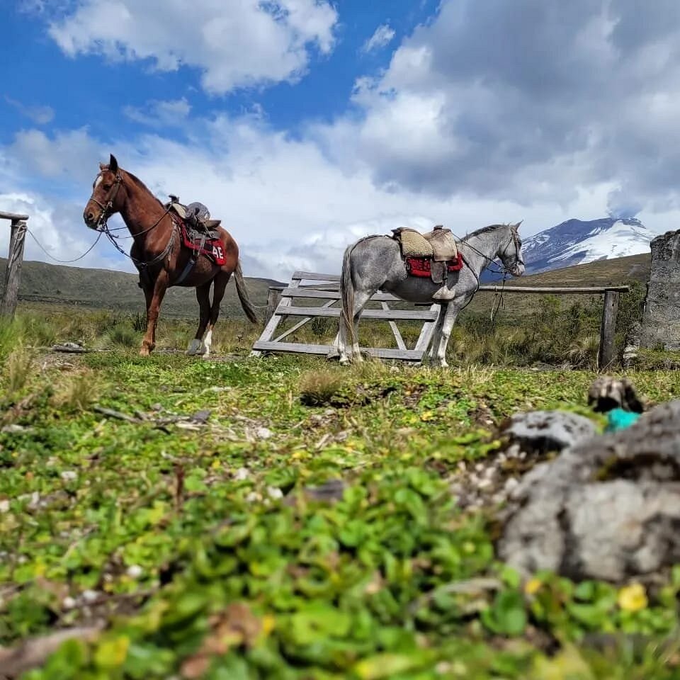 Latacunga: High Trail Riding Adventure + Pick-Up & Drop-Off + Lunch