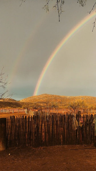 Elgin: Full-Day Horseback Ride Trek Journey + Lunch + Pick-up Available