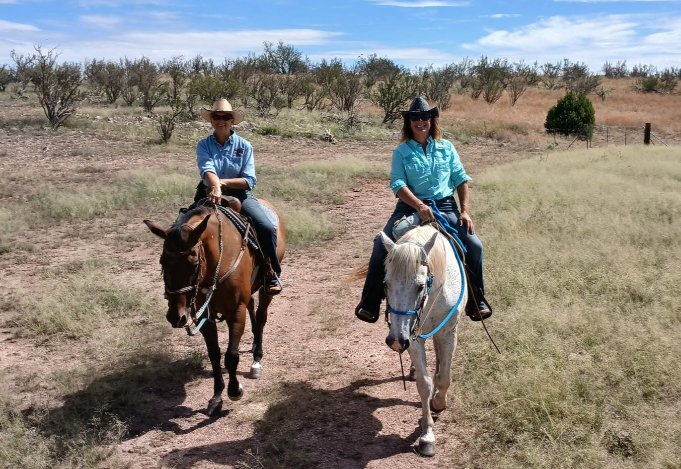 Elgin: Woodland Gallop Horseback Ride + Pick-up Available