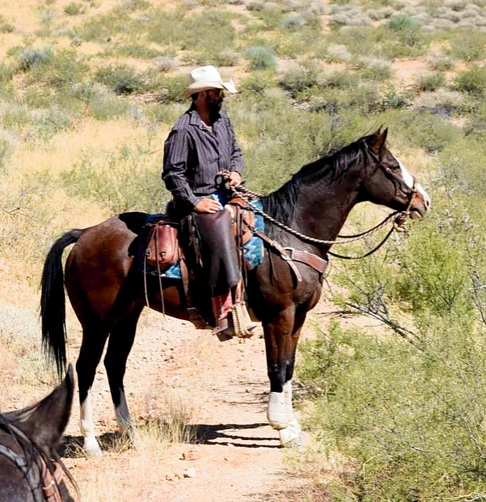 Elgin: Ridge Horseback Trail Ride Explorer + Pick-up Available