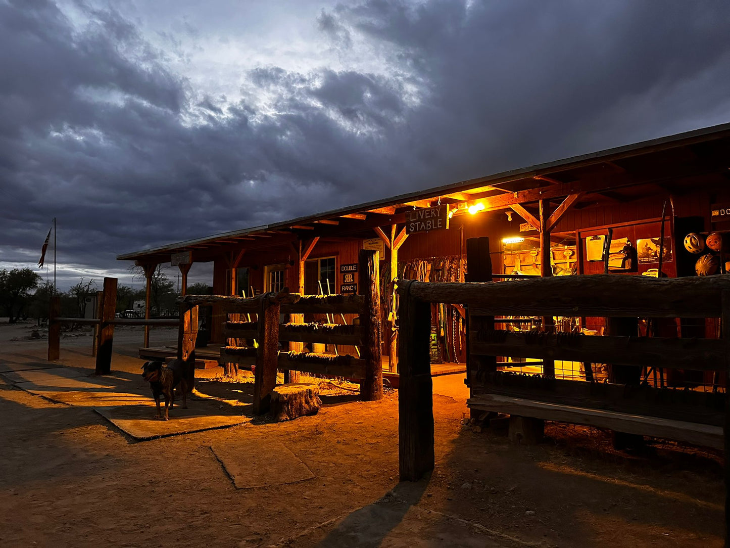 Elgin: Ridge Horseback Trail Ride Explorer + Pick-up Available