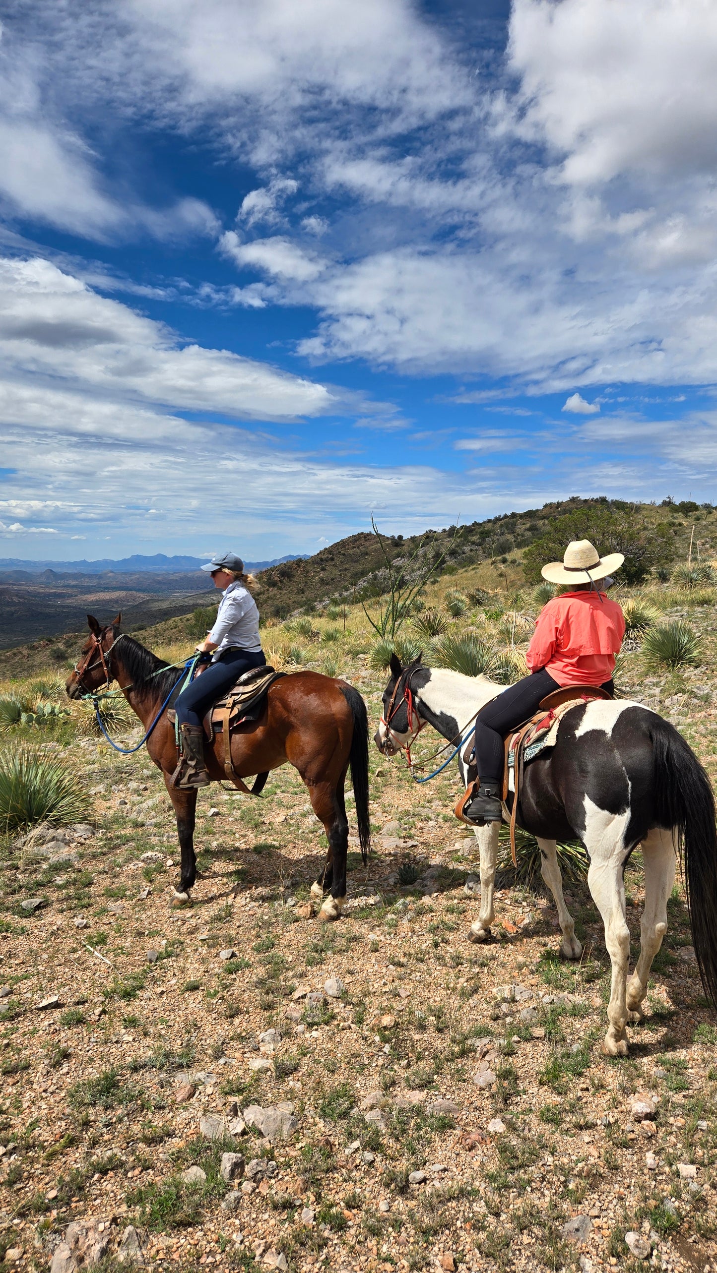 Elgin: Peak Horse Ride Trail Adventure + Pick-up Available