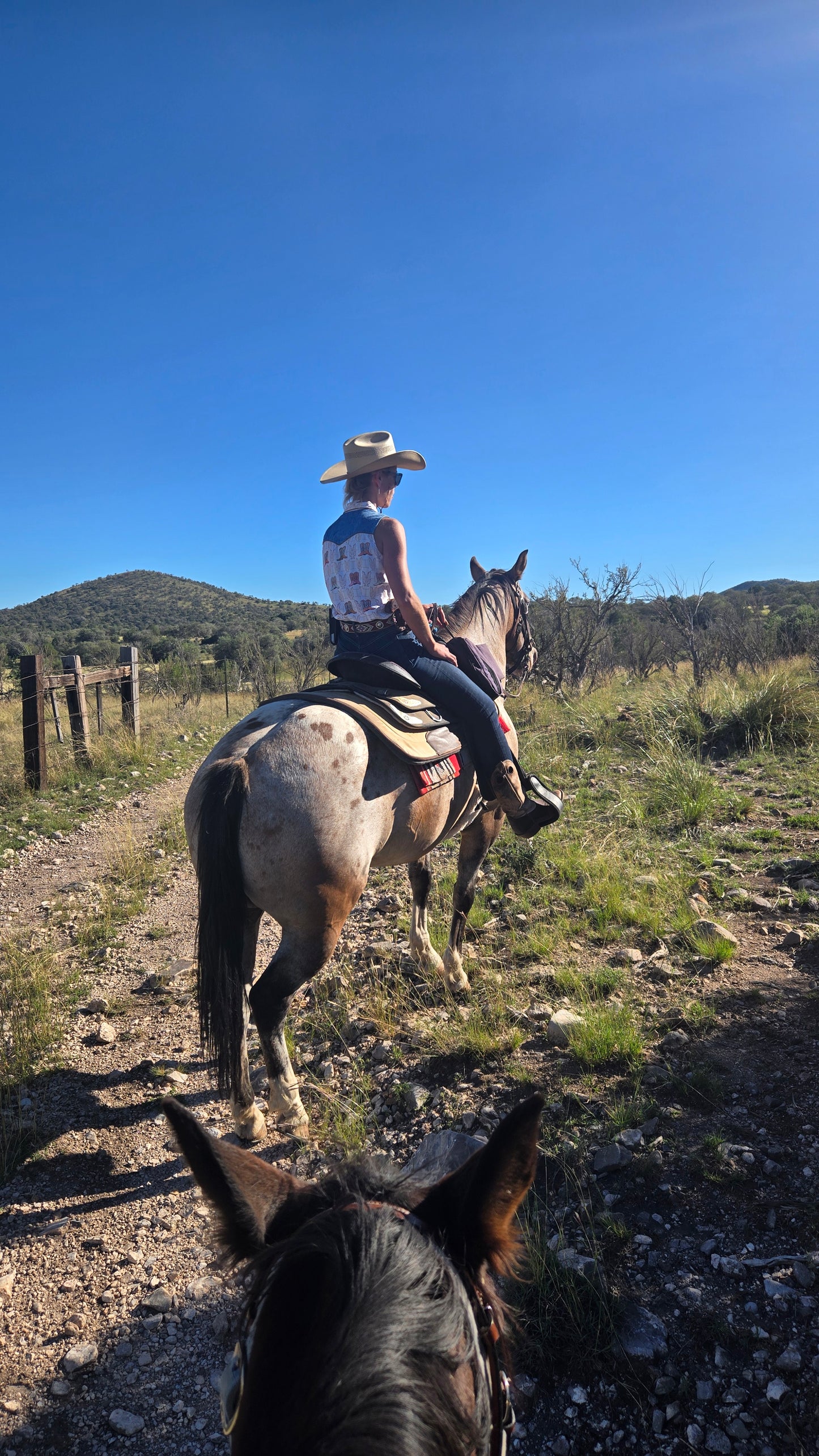 Elgin: Peak Horse Ride Trail Adventure + Pick-up Available