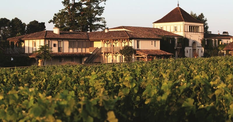 Wine & Wellness Escape: Luxury Spa Retreat in Bordeaux