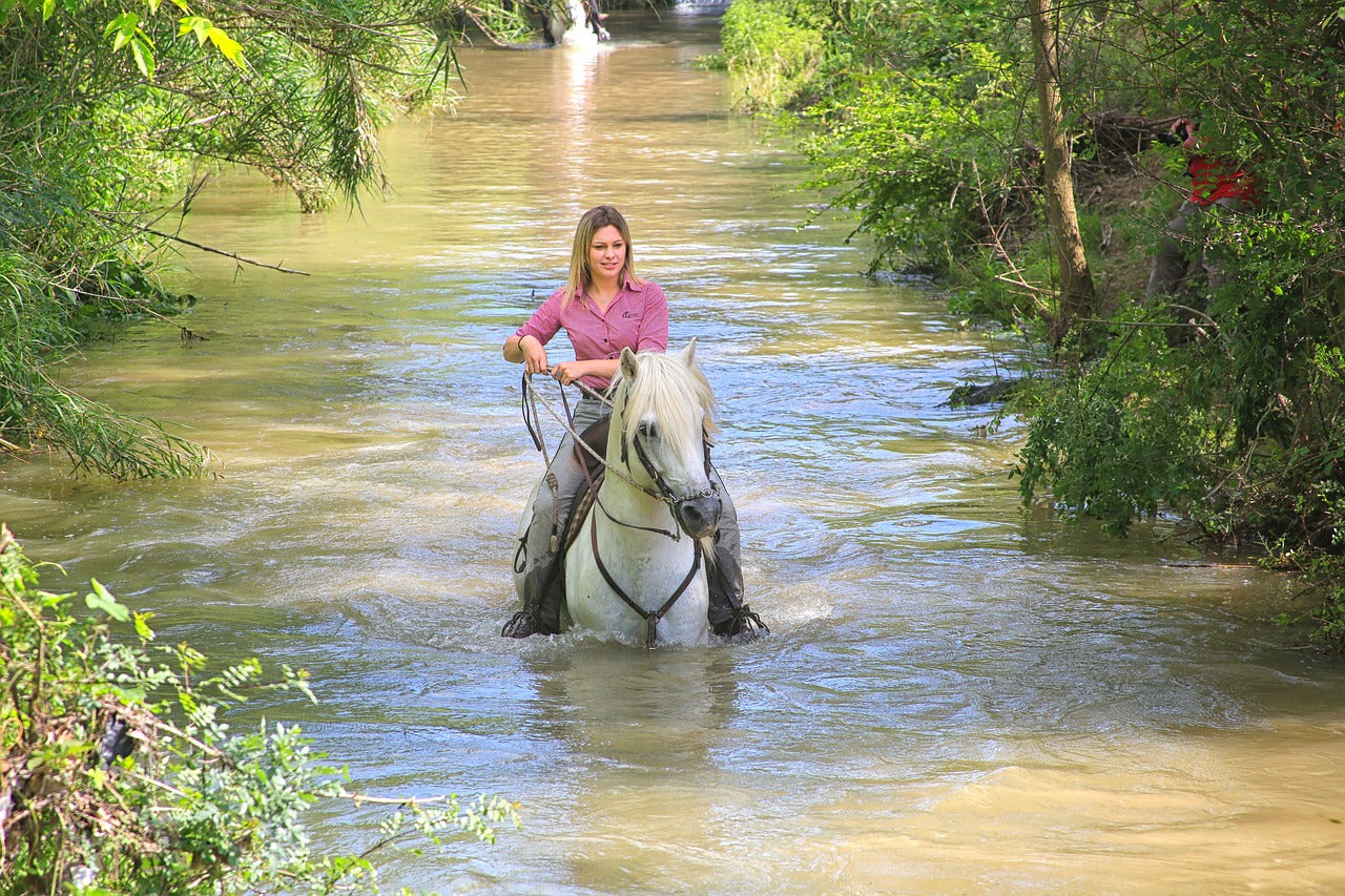 Filandia, Colombia: Full-Day Journey to the River on Horseback