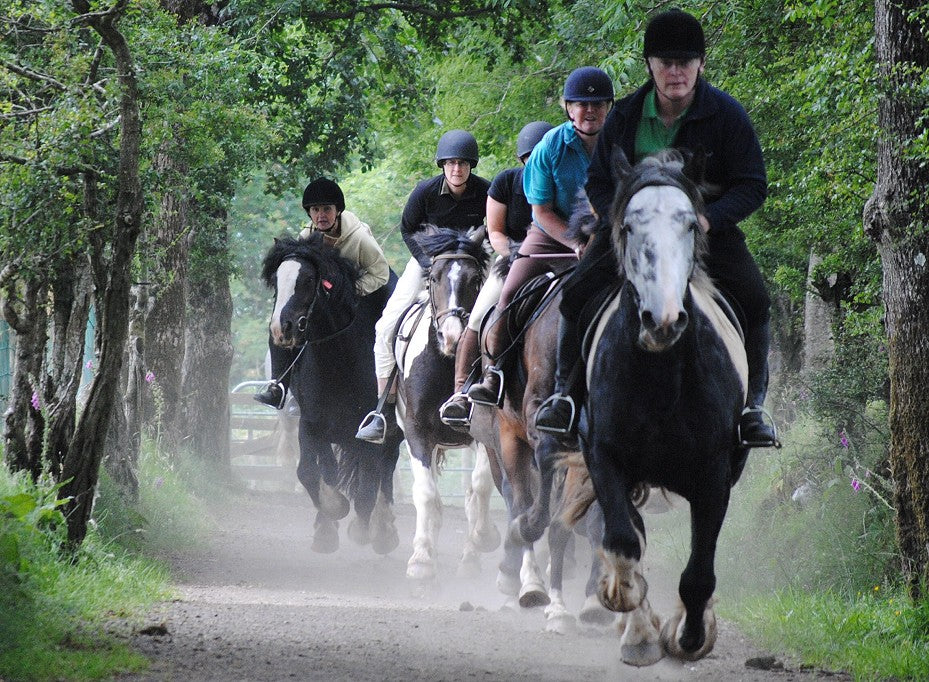 North Antrim: The Gallop & Glide Thrill Rides + Pick-up Available
