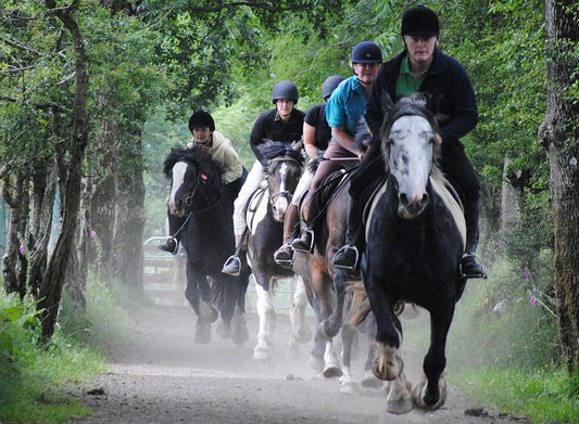 North Antrim: The Gallop & Glide Thrill Rides + Pick-up Available
