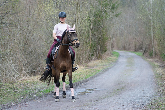 New South Wales: 30-Minute Vineyard and Bush Family Horse Ride