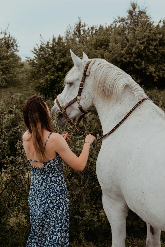 Private Horseback Riding near Florence & Wine Tasting