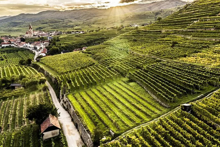 3 Castles & Wine Tasting in the Danube Valley – Private Experience from Vienna