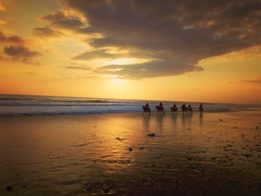 Bali: 1.5 Hour Coastal Cliffs & Countryside Horseback Tour + Pick Up