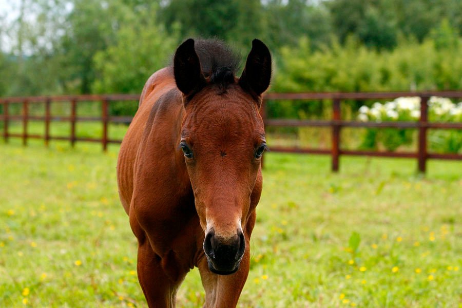 Naas: Smooth Moves in the Group Riding Lesson