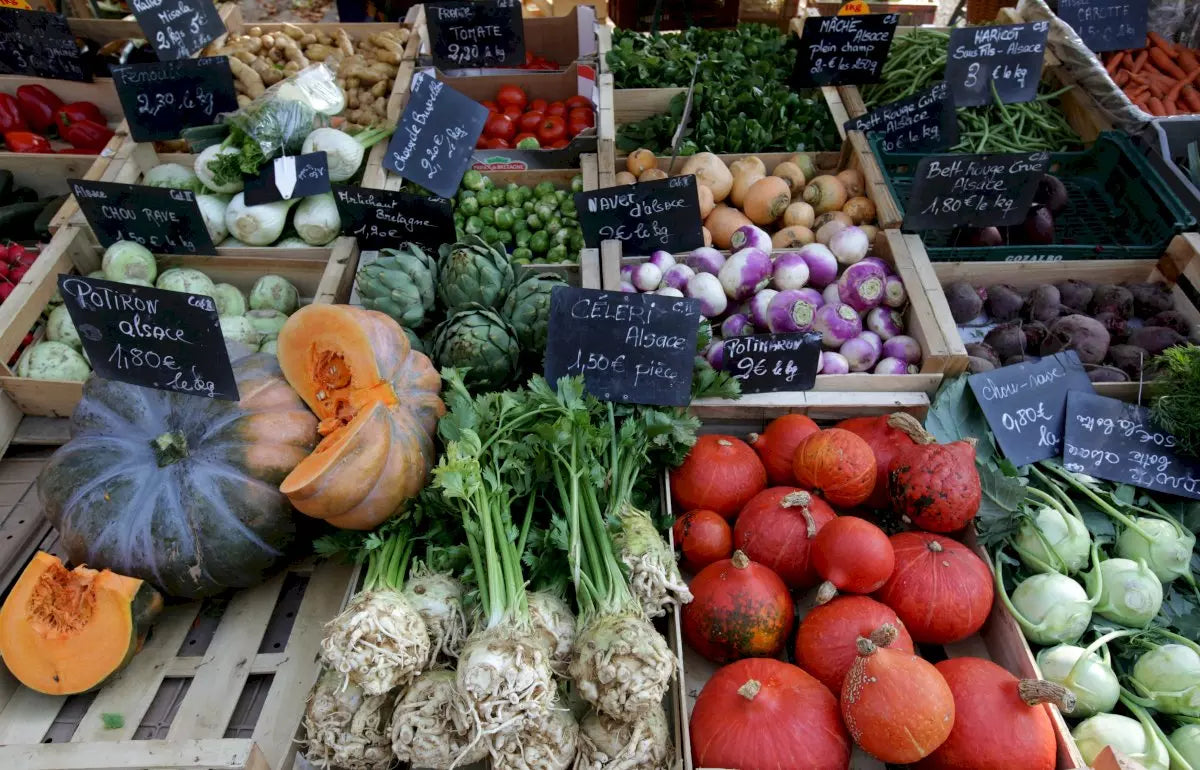 Gourmet food and wine tour in Starsbourg
