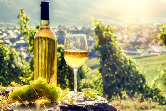 Half day in Alsace villages and wine tour
