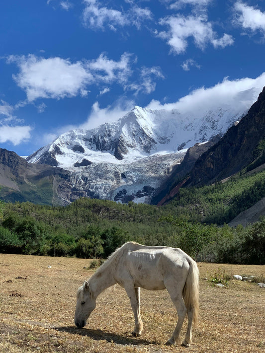Estancia: 2-Hour Scenic & Relaxing Horse Ride + Lunch