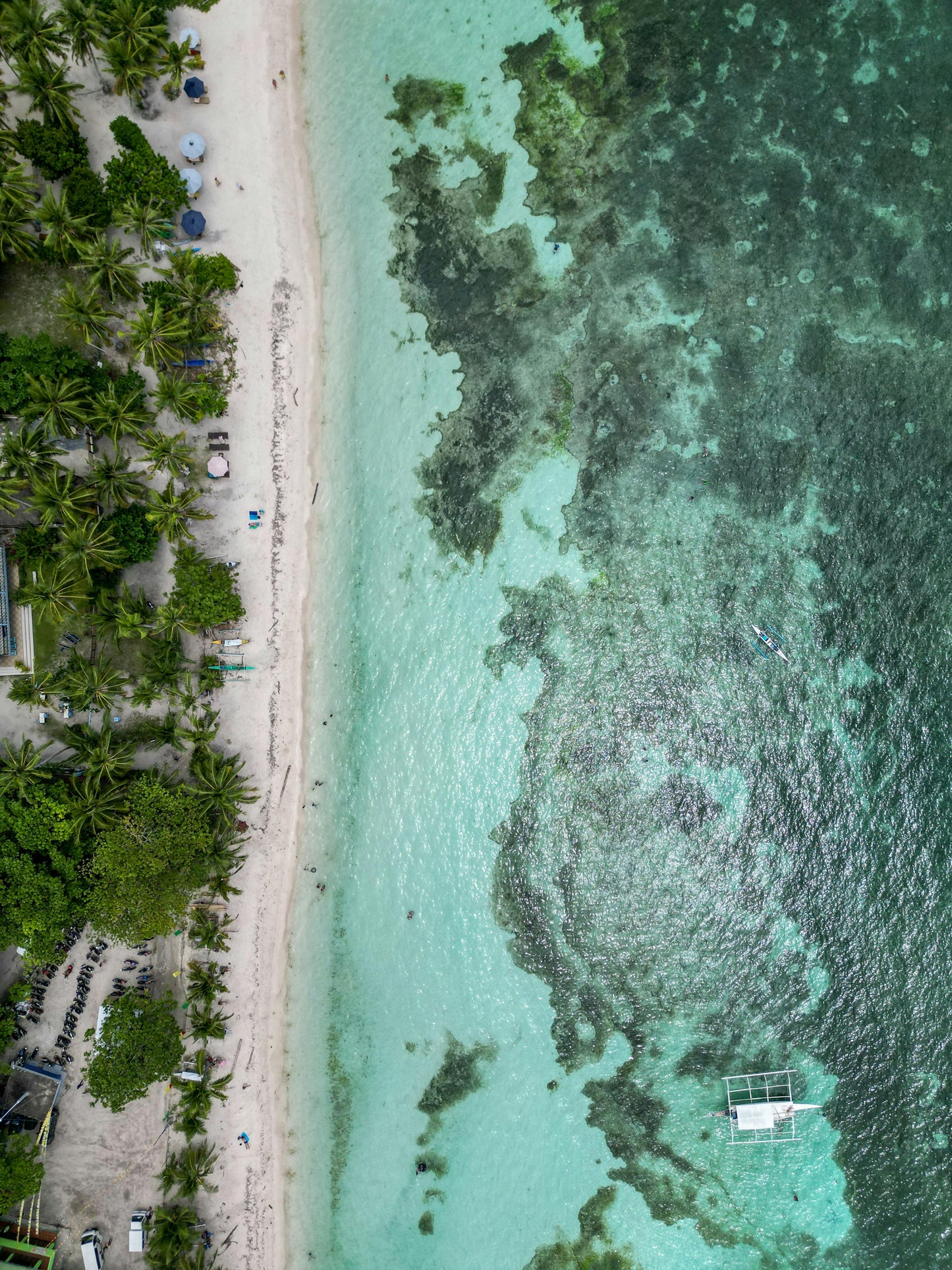 Bohol, Philippines: Pamilacan Island Tour with Dolphins