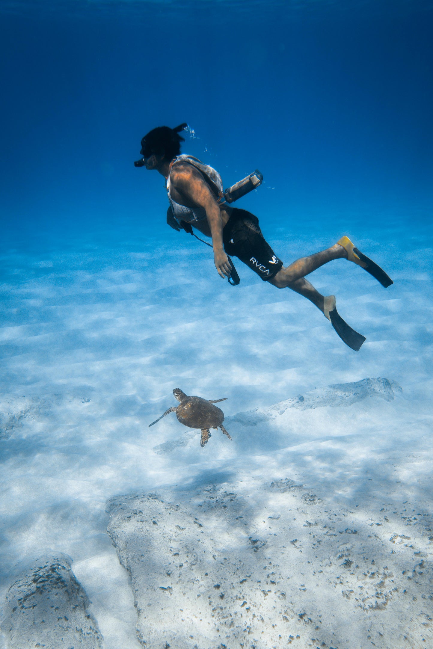 Bohol, Philippines: Pamilacan Island Tour with Dolphins
